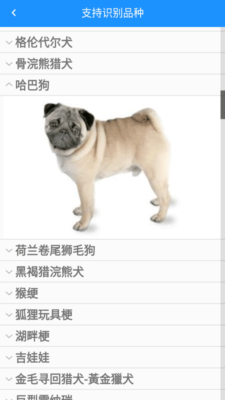 哈狗万能拍照识别2