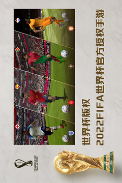 FIFA2003中文版