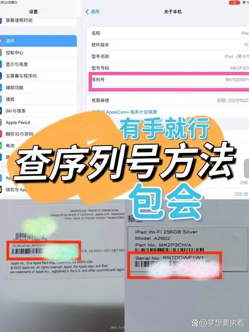 如何查询ipad序列号