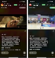 电脑视频号直播如何分享屏幕