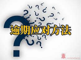 抖音放心借逾期无力偿还如何解决