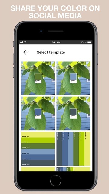 pantone