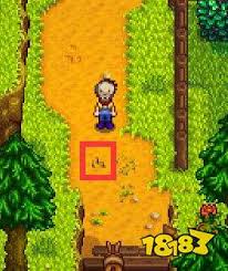 星露谷物语怎么钓变种鲤鱼