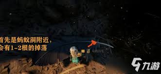 禁闭求生2乌鸦图鉴在哪收集