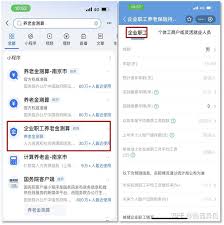 支付宝养老金待遇测算准不准