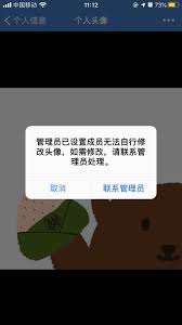 微信头像换不了怎么办
