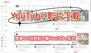 youtube下载了怎么用不了