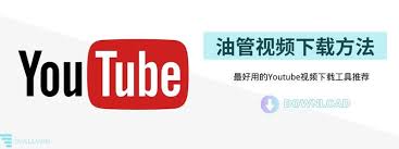 youtube下载了怎么用不了