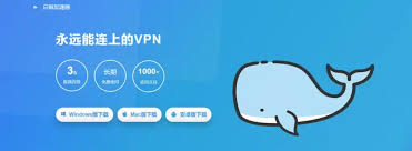 能连接youtube的加速器