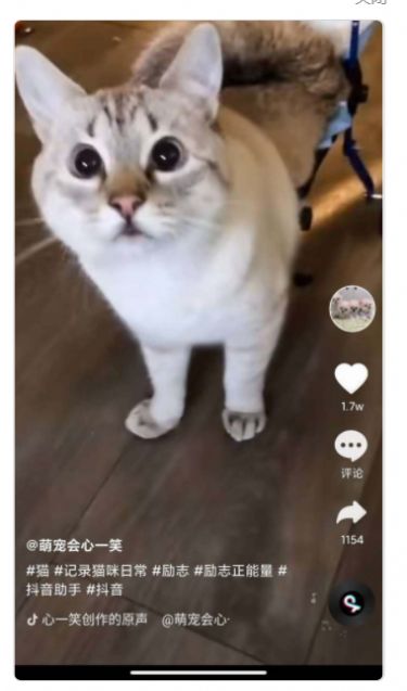 全民刷刷短视频免费正版2