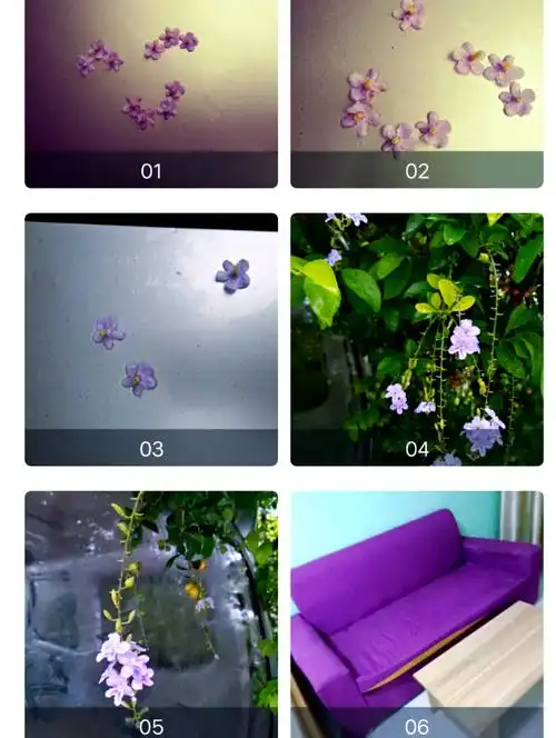 华为手机如何将照片导出为pdf格式