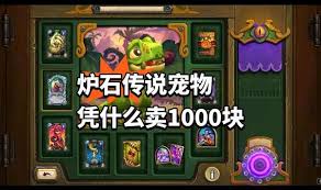 炉石传说宠物系统2025怎么玩