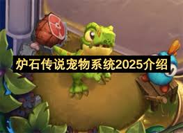 炉石传说宠物系统2025怎么玩