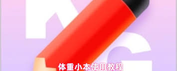 体重小本如何使用