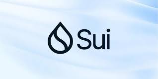 sui币是否值得长期持有