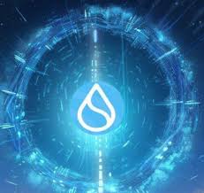 sui币是否值得长期持有