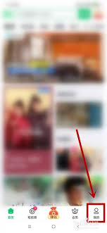 爱奇艺极速版怎样允许流量下载