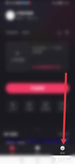 快手直播伴侣如何调整语速