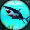 鲨鱼猎手3D