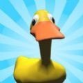Runny Duck