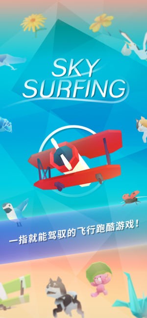 Sky Surfing2