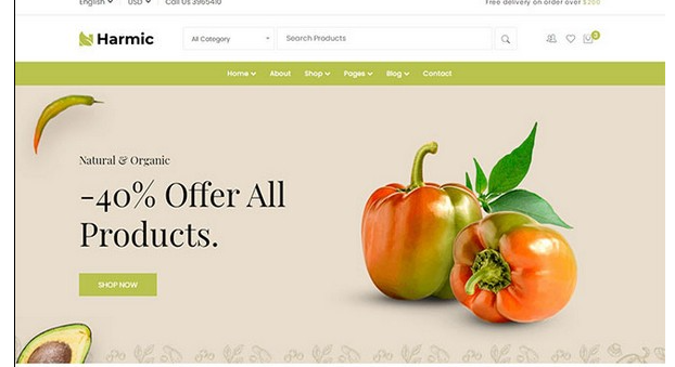 蔬菜水果生鲜超市电商网站模板免费版0