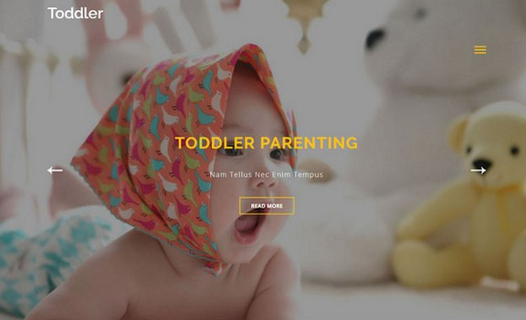 婴儿用品店网上商城网站模板免费版0