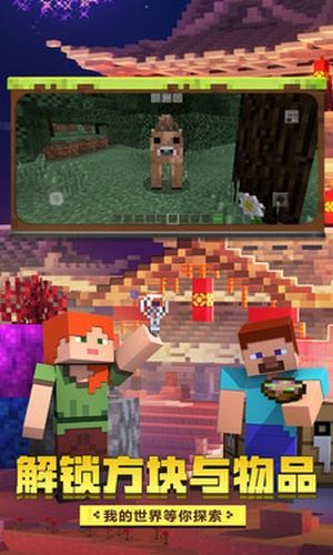 我的世界 Minecraft Pocket Edition 