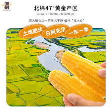 deepseek和豆包哪个好