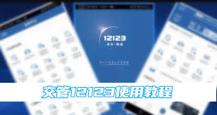 12123 ƽ̨ʹָ