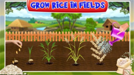 水稻种植工厂1