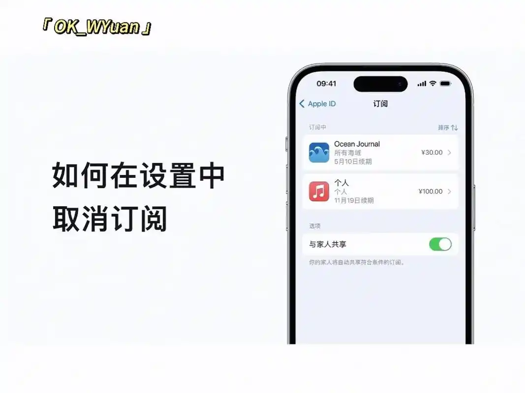 苹果手机怎么关闭购买的东西自动扣费功能