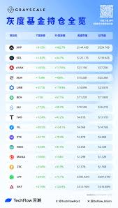 2025年最值得看好的山寨币有哪些