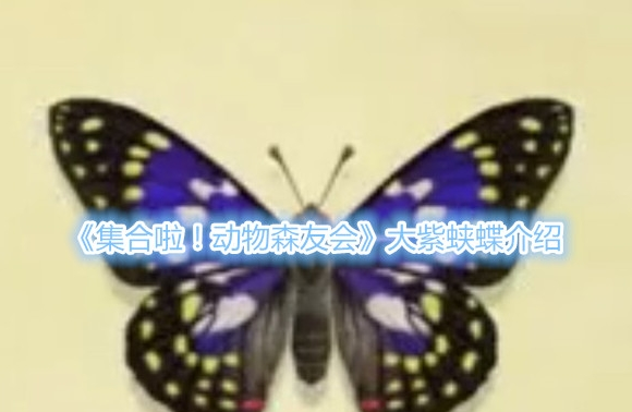 动物森友会大紫蛱蝶什么时候活动
