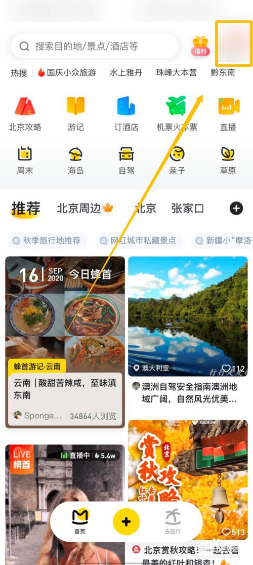 马蜂窝旅游服务协议在什么地方