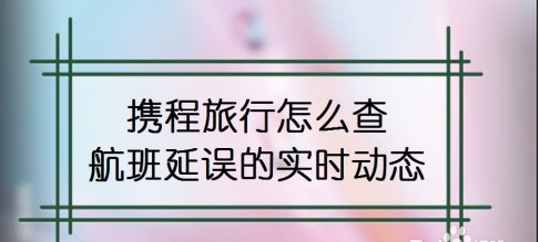 携程旅行如何查看航班延误信息