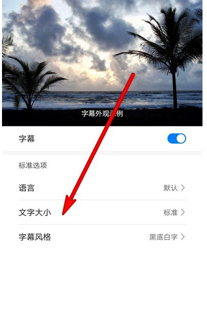 华为手机如何设置字幕文字大小