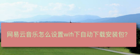 网易云音乐如何设置WiFi网络自动下载安装包