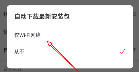 网易云音乐如何设置WiFi网络自动下载安装包
