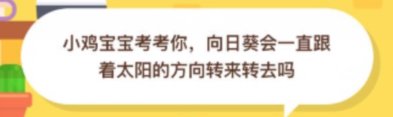 向日葵会一直跟着太阳的方向转来转去吗？小鸡庄园答题10月21日最新答案