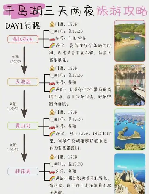 千岛app怎么查看历史记录