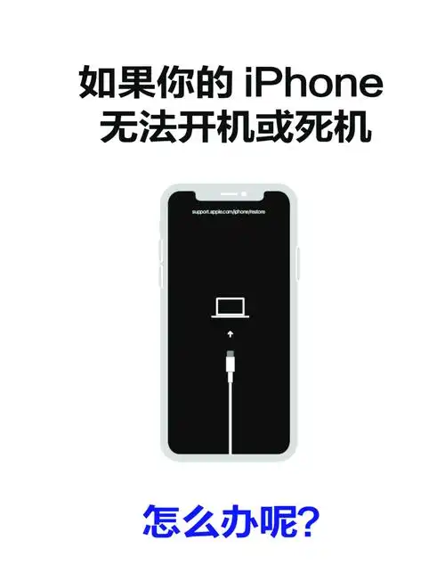 iPhone无法正常启动怎么办