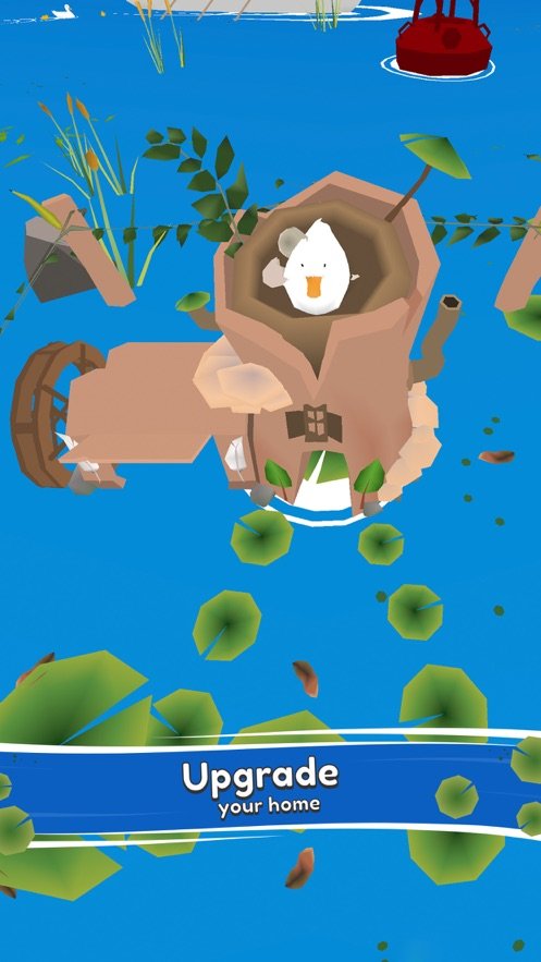 ducklings1