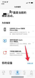 怎么看自己的手机能用几年苹果