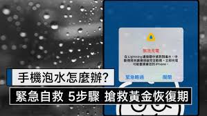 iPhone手机进水如何处理