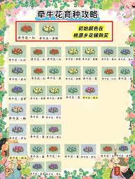 桃源深处有人家如何进行牵牛花育种