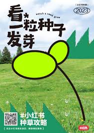 如何成为小红书种草博主