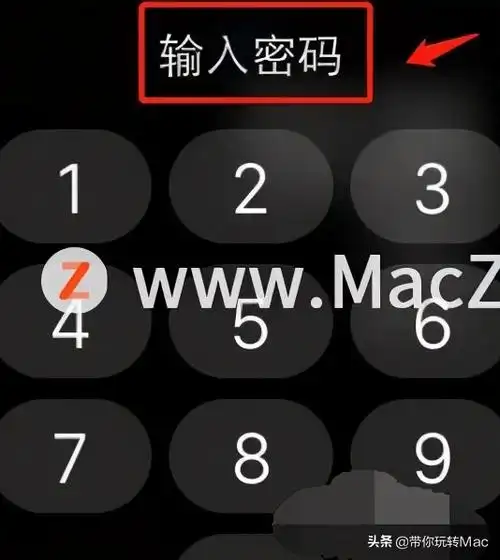 苹果手表为何不能设置4位密码