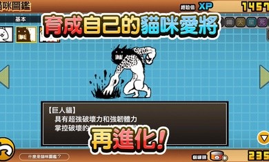 猫咪大战争11.2.13