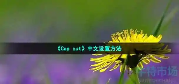capcut如何设置中文